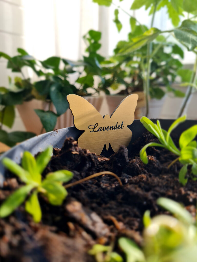 skylt som märker upp vårsått av lavendel-guldfärgad fjäril med texten lavendel graverad. Sitter på kanten av krukan med magnetsystem