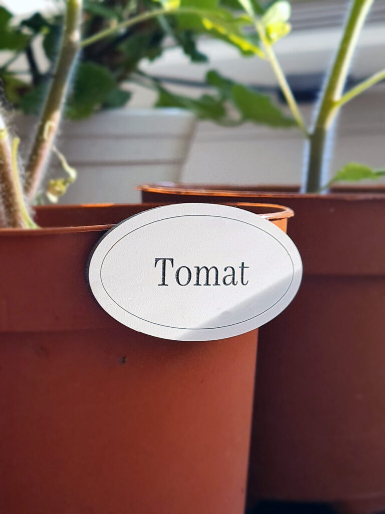 magnetisk skylt som märker upp kruka för tomatplantan - vit skylt med texten tomat ingraverad